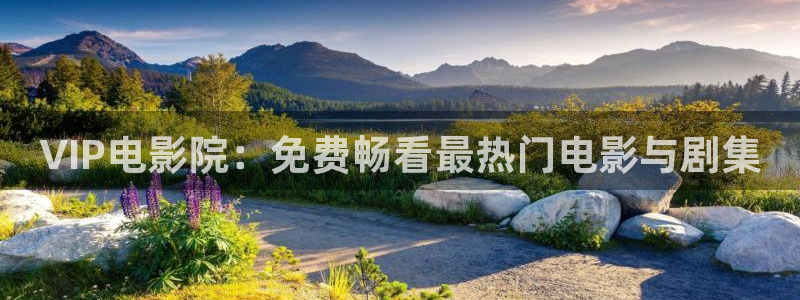 老湿影院大全免费观看