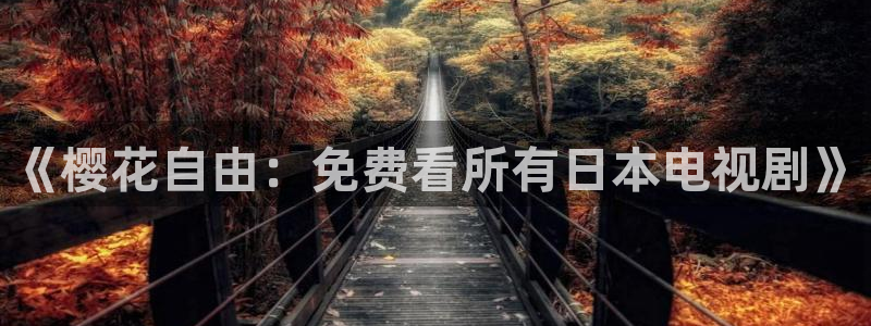 天美麻花星空影视
