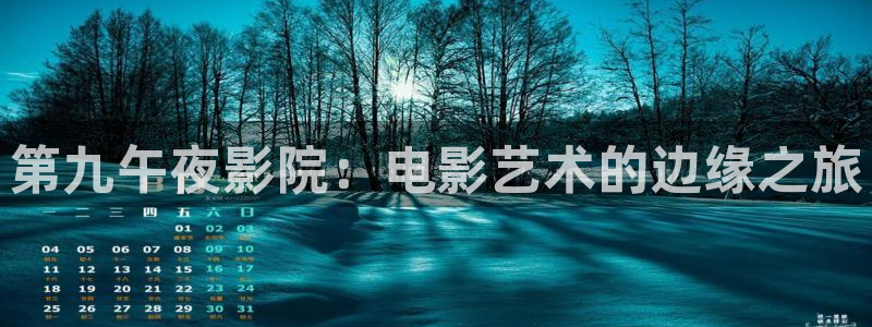 关于星空的视频
