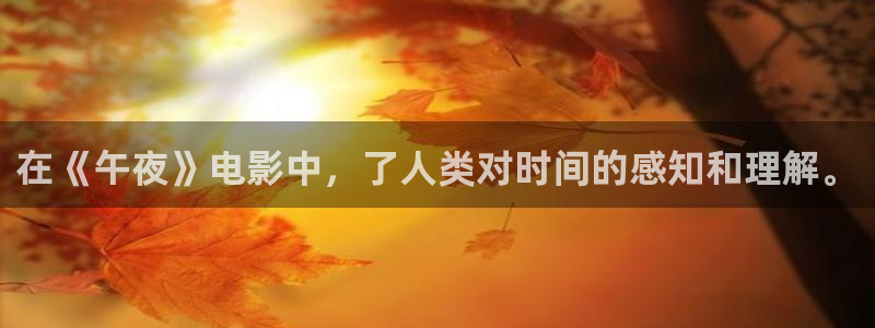 老湿影院在线高清观看