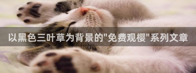 星空无痕免费视频观看
