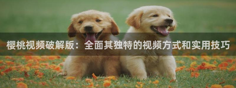 星空影视vip破解版