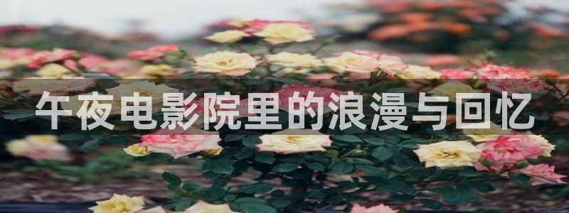 老湿影院高清电视剧