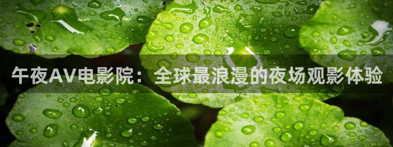 老湿影院私人影院