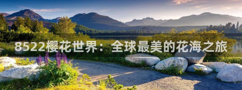 老湿影院在线观看完整版