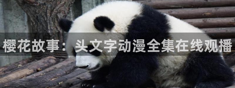 星空影视在线看