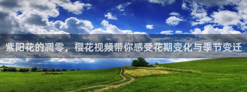 星空影视最新版本