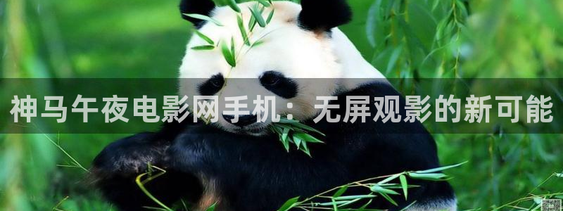 老湿影院免费看