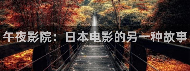 老湿影院网