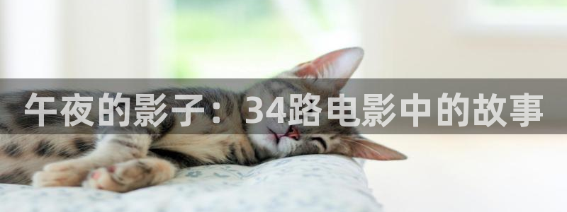 星空影视app官网