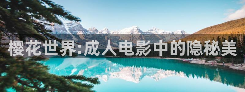 星空影视app最新版下载安装