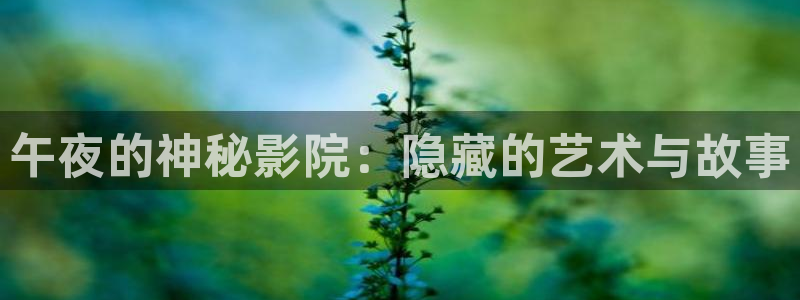 星空传媒免费观看视频