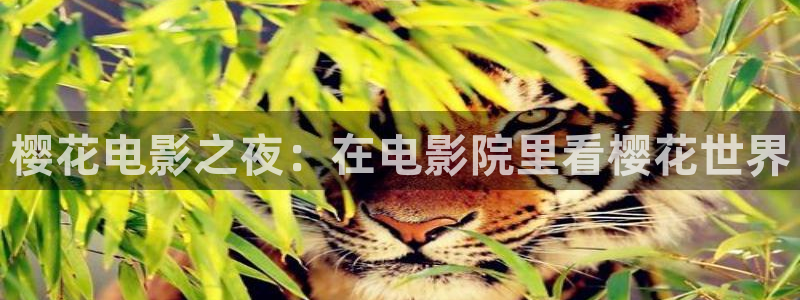 老湿影院高清版免费观看电视剧