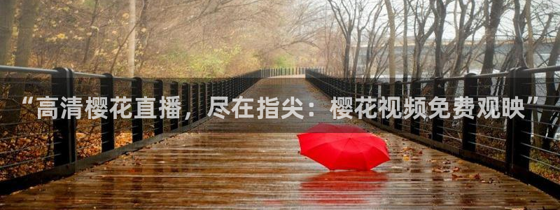 老湿影院在线观看免费节目