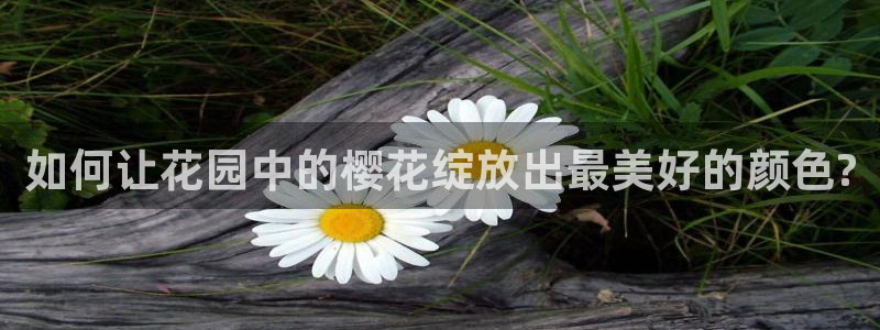 老湿影院电影电视剧免费播放手机版