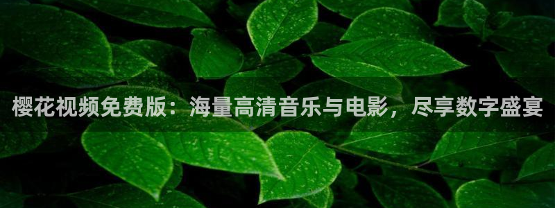 老湿影院电影电视剧在线观看