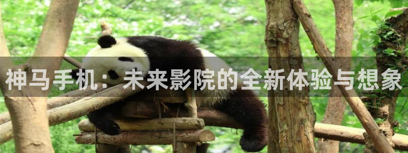 精东影业麻豆天美星空