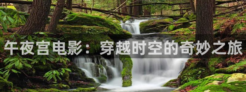 星空影视在线免费观看电影