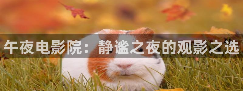 老湿影院新生