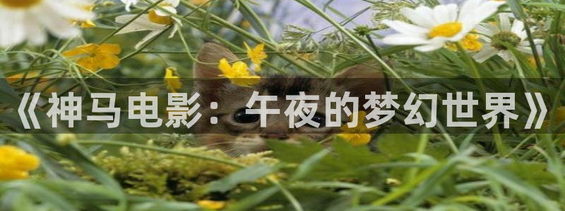 星空日本影院