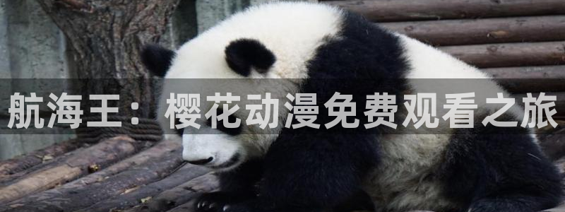 老湿影院动漫下载