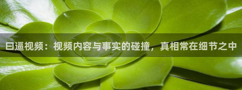 老湿影院电视免费看