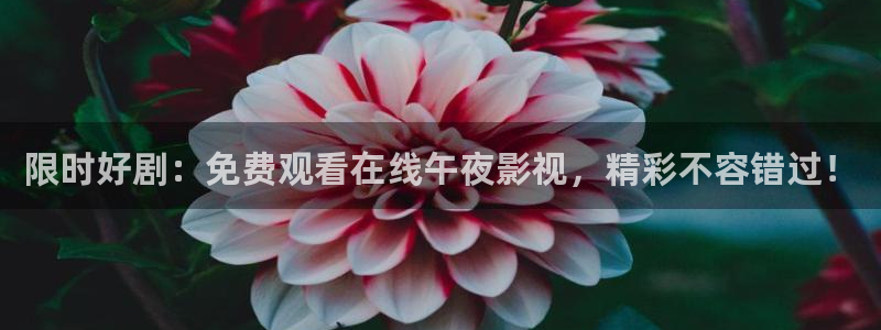 星空影视电视剧免费观看