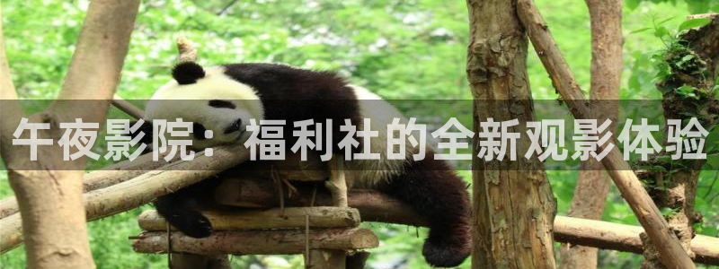星空免费观看高清完整视频大全
